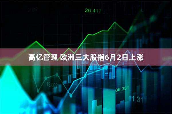 高亿管理 欧洲三大股指6月2日上涨