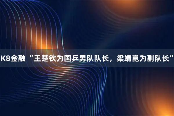 K8金融 “王楚钦为国乒男队队长，梁靖崑为副队长”