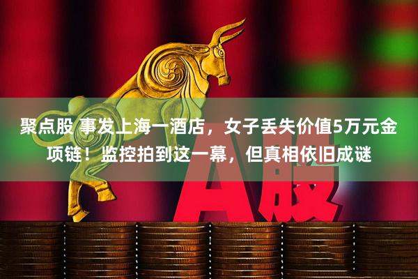 聚点股 事发上海一酒店，女子丢失价值5万元金项链！监控拍到这一幕，但真相依旧成谜