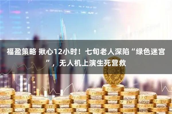 福盈策略 揪心12小时！七旬老人深陷“绿色迷宫”，无人机上演生死营救